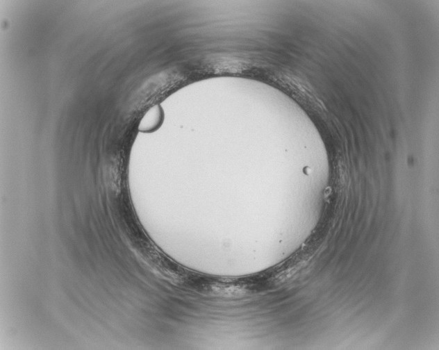 X0000059060311200511041735