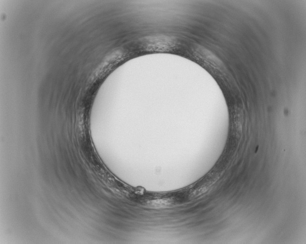 X0000059060312200511041735