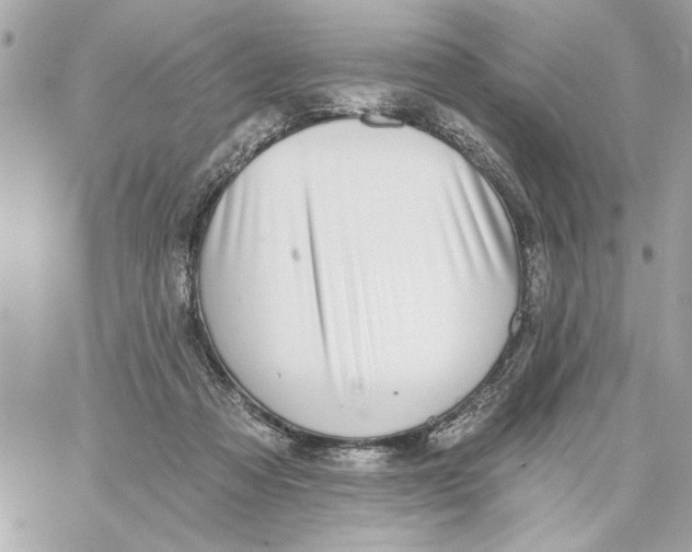 X0000059060313200511041735