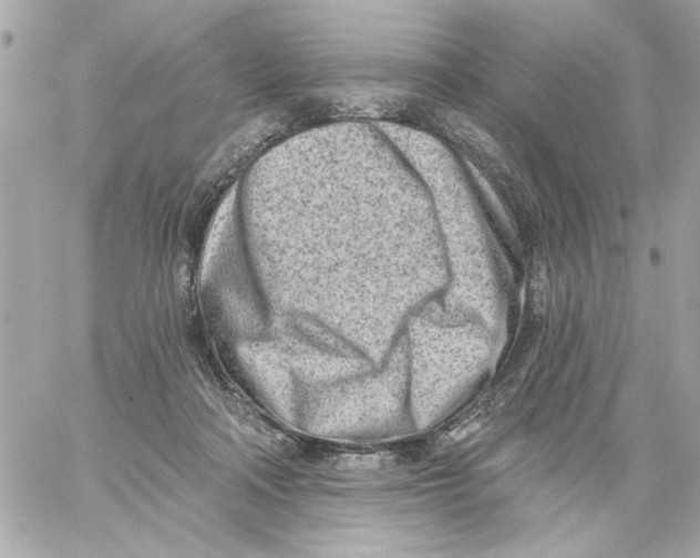 X0000059060314200511041735