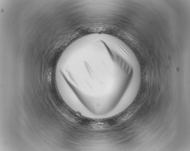 X0000059060315200511041735