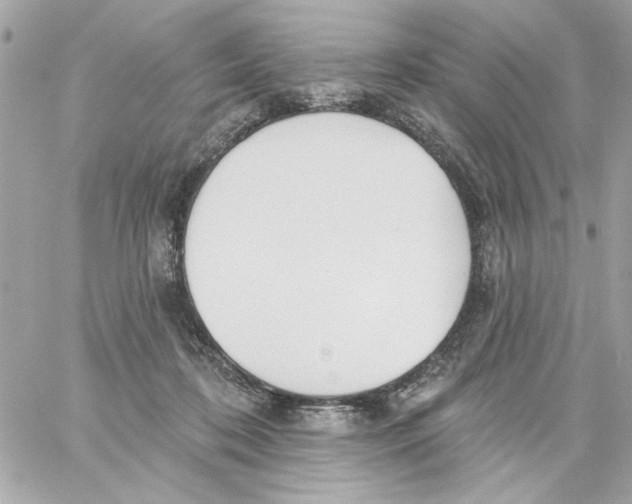 X0000059060316200511041735