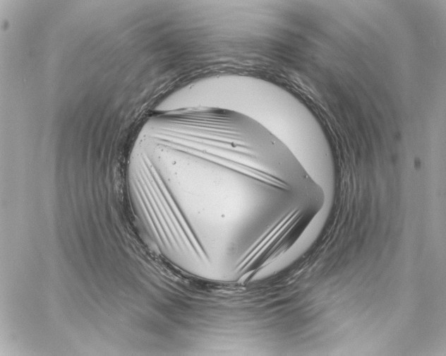 X0000059060317200511041735