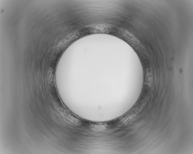 X0000059060318200511041735