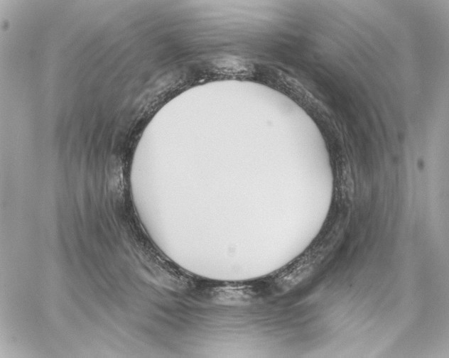 X0000059060320200511041735