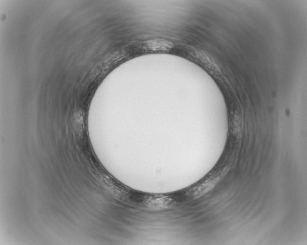 X0000059060321200511041735