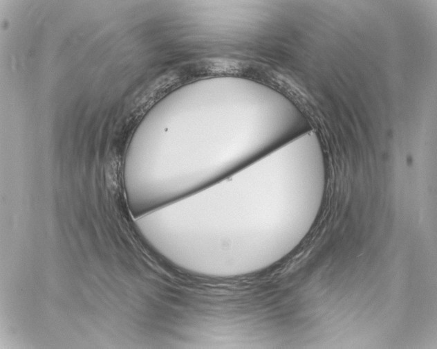 X0000059060325200511041735