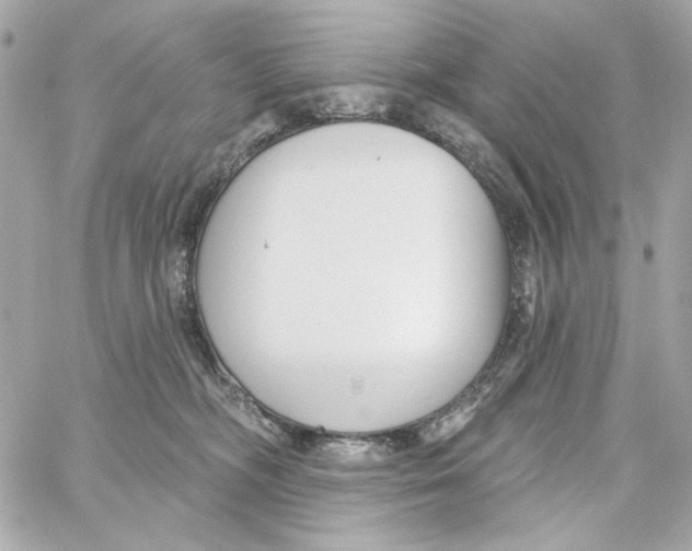 X0000059060326200511041735