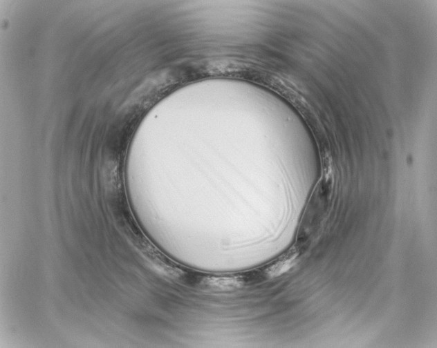 X0000059060327200511041735