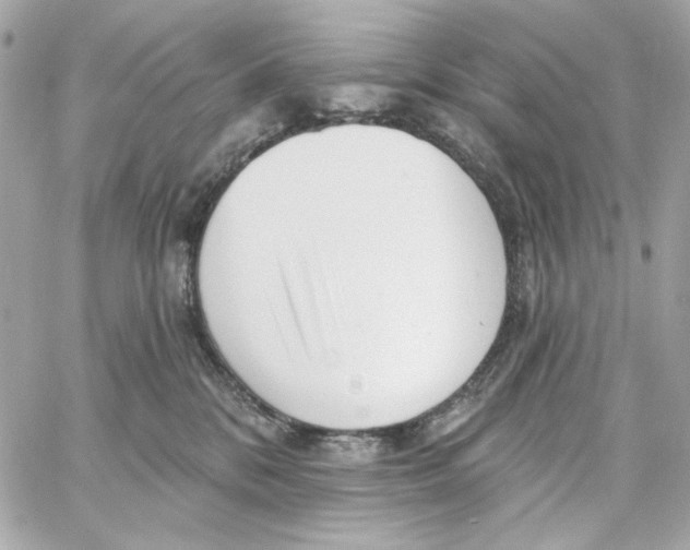 X0000059060328200511041735