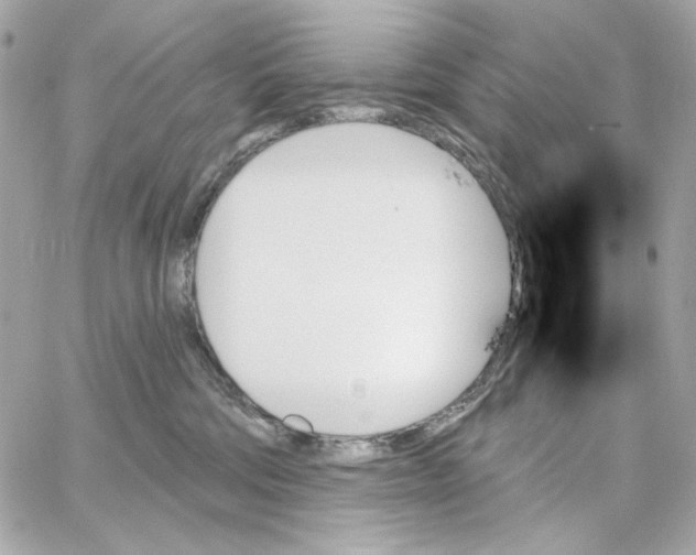 X0000059060330200511041735