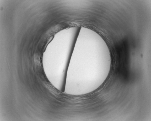 X0000059060331200511041735