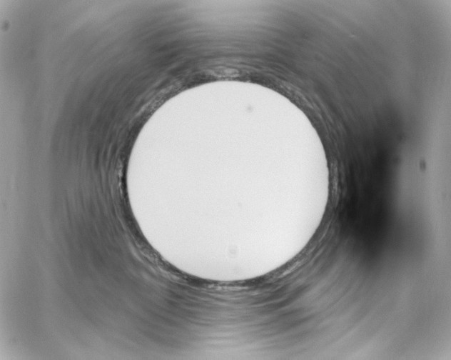 X0000059060332200511041735