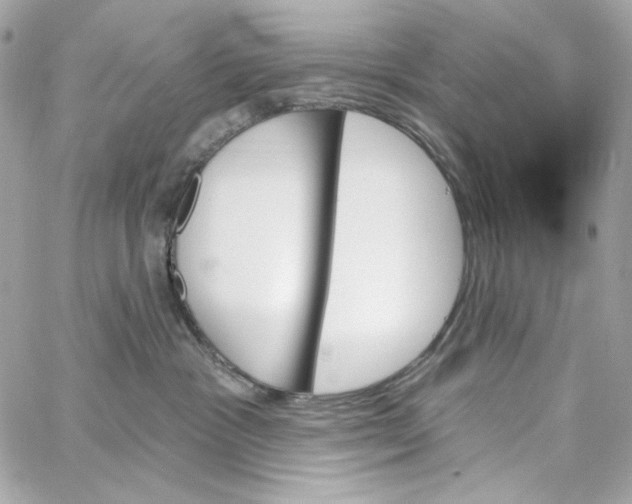 X0000059060333200511041735