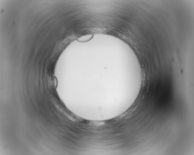 X0000059060334200511041735