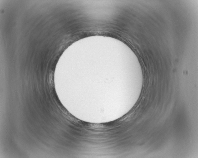 X0000059060336200511041735