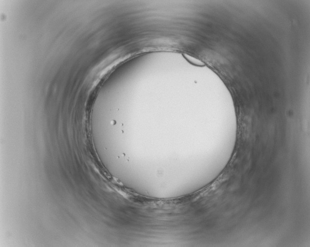 X0000059060338200511041734