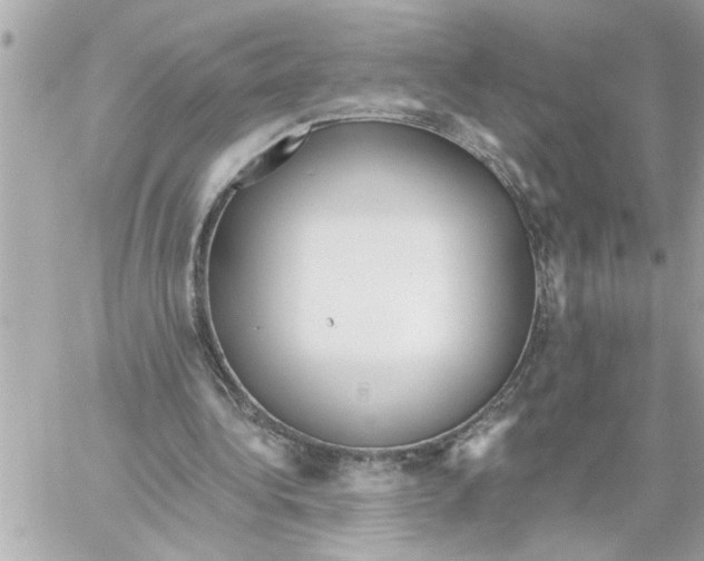 X0000059060340200511041734