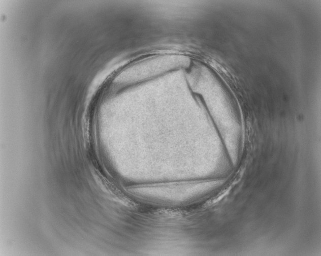 X0000059060343200511041734