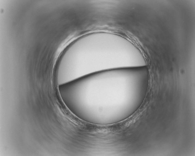 X0000059060344200511041734