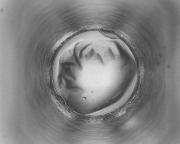 X0000059060345200511041734