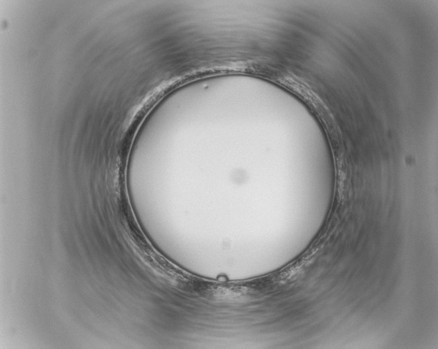 X0000059060346200511041734