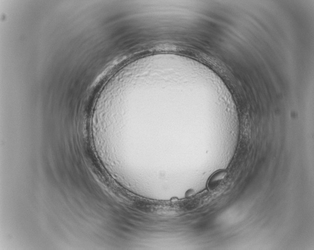 X0000059060347200511041734