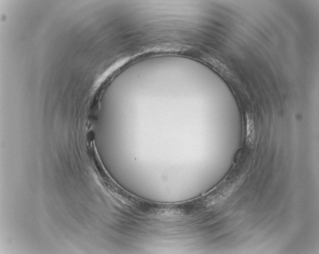 X0000059060348200511041734