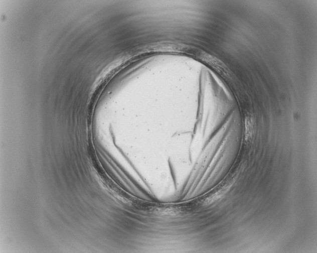 X0000059060349200511041734