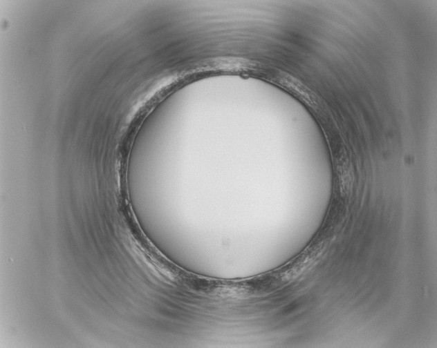 X0000059060350200511041734