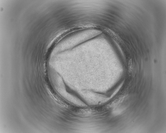 X0000059060351200511041734