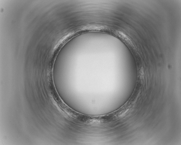 X0000059060352200511041734