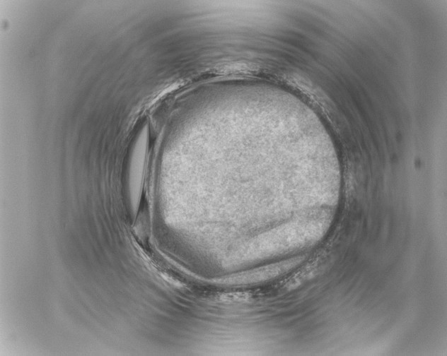 X0000059060353200511041734