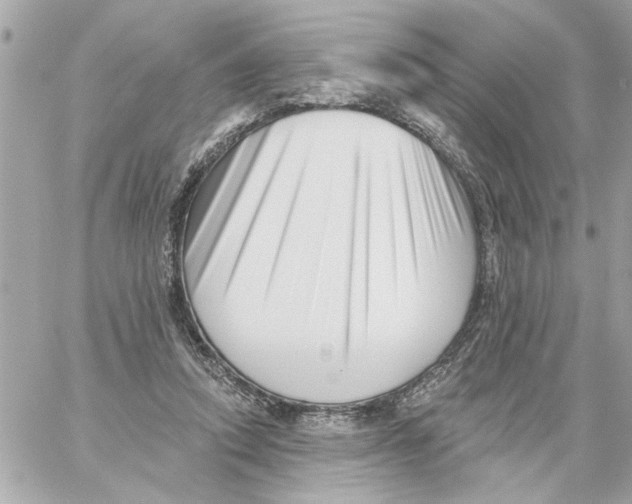 X0000059060354200511041734