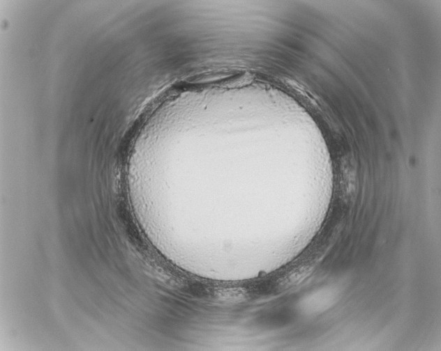 X0000059060355200511041734