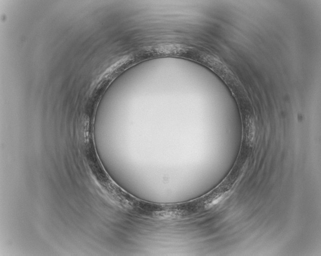 X0000059060356200511041734