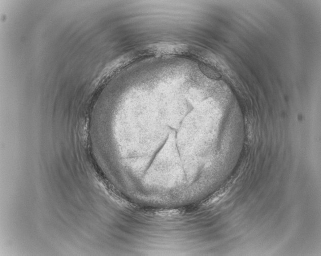 X0000059060357200511041734