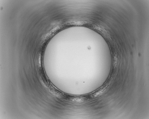 X0000059060358200511041734