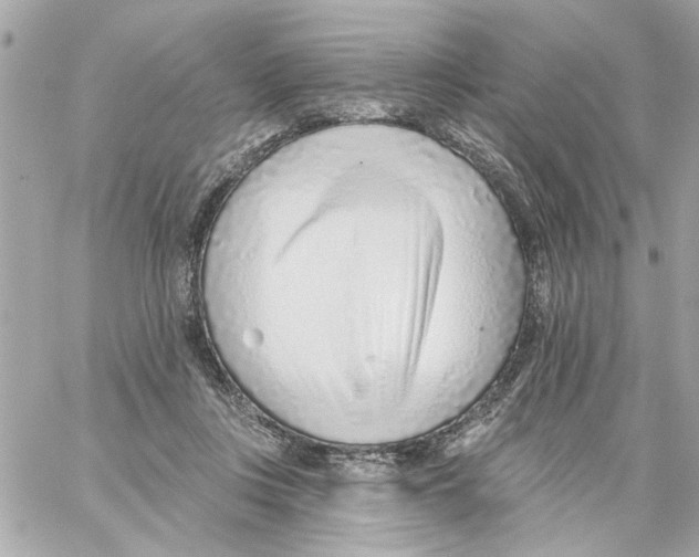 X0000059060359200511041734