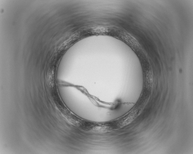 X0000059060364200511041735