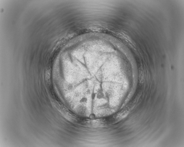 X0000059060365200511041735