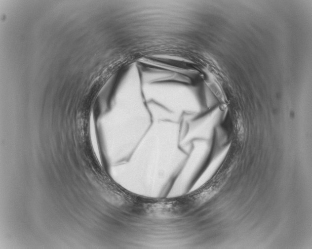 X0000059060366200511041735