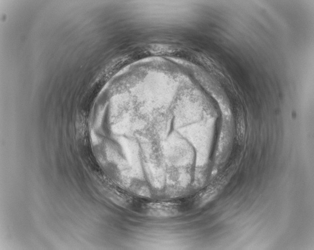 X0000059060367200511041735