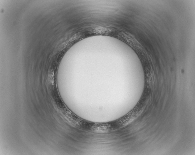 X0000059060368200511041735