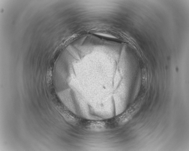 X0000059060369200511041735