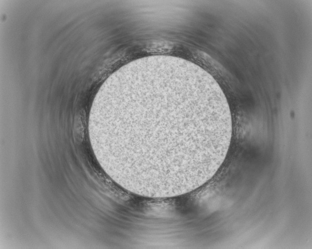 X0000059060370200511041735