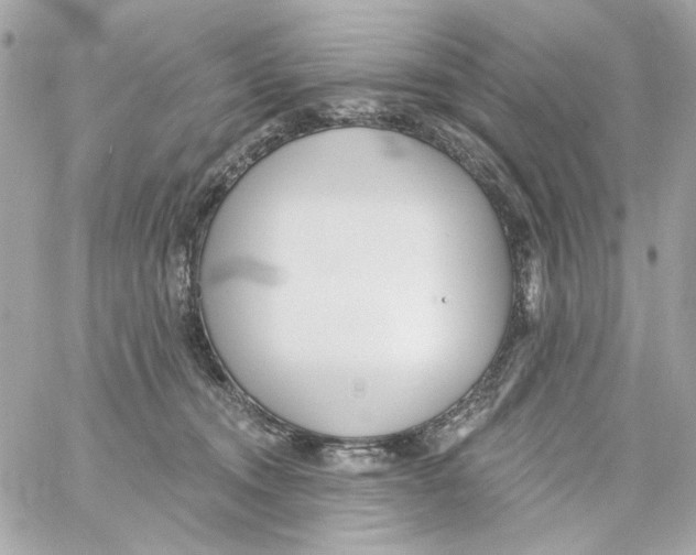 X0000059060372200511041735