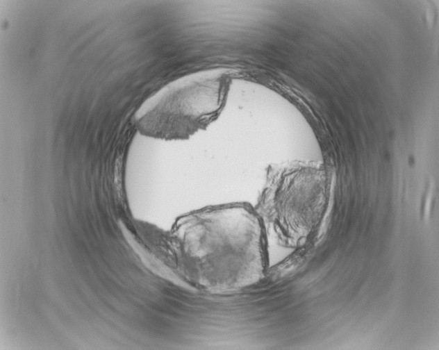 X0000059060373200511041735