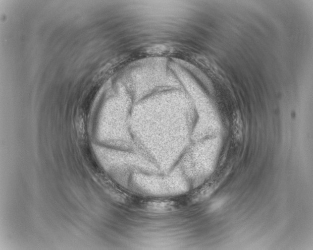 X0000059060375200511041735