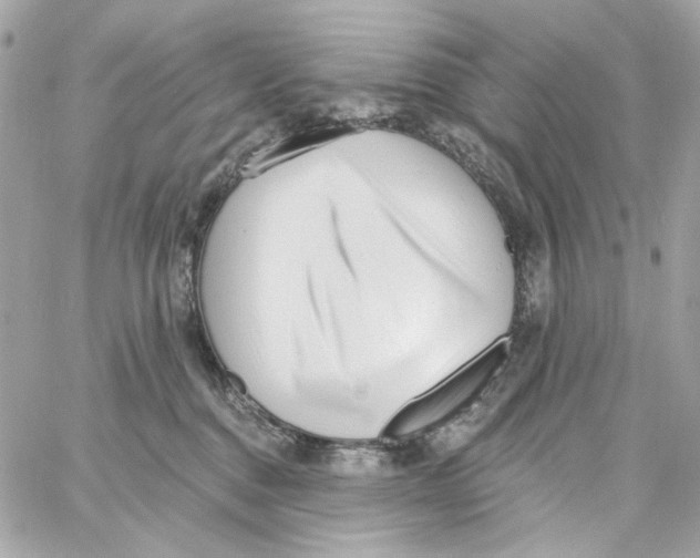 X0000059060376200511041735